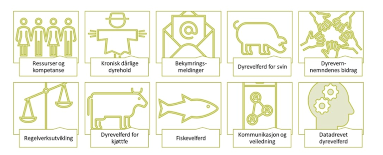 Figur 12: Figuren viser en grafisk fremstilling av Mattilsynets handlingsplan for dyrevelferd. Stikkord er regelverksutvikling, oppfølging av bekymringsmeldinger, oppfølging av kronisk dårlige dyrehold og ressurser og kompetanse.