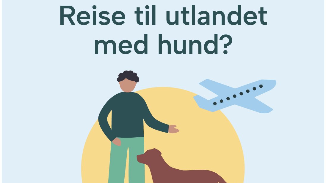 Plakat med informasjon om å reise til utlandet med hund.