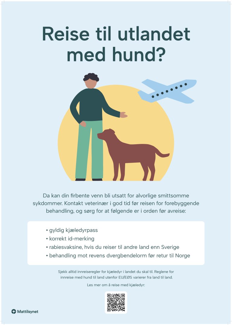 Plakaten med illustrasjon av en mann, en hund og et fly. Teksten under presiserer kravene til reise med hund og minner om viktigheten av å kontakte veterinær i god tid før reisen for råd om forebyggende behandling.