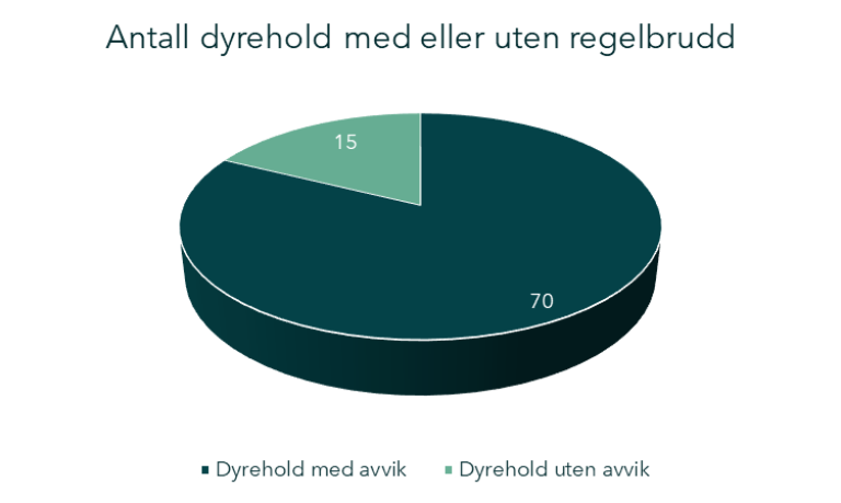 Mattilsynet har registrert ett eller flere regelbrudd hos 82 % av dyreholdene (70 dyrehold). I 18 % (15 dyrehold) har vi ikke registrert regelbrudd.