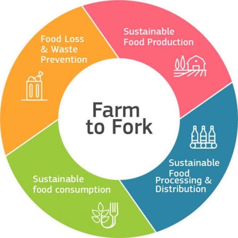 Illustrasjon av EUs Farm to fork-strategi. Viser en sirkel som skal illustrere en mer sirkulær tankegang og bærekraftig ressursbruk.