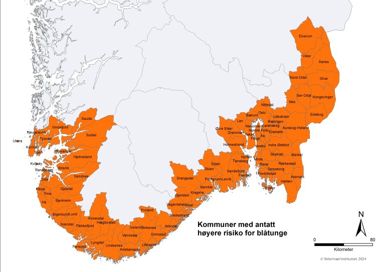 Kart som viser hvilke kommuner som har antatt høyere risiko for blåtunge. 