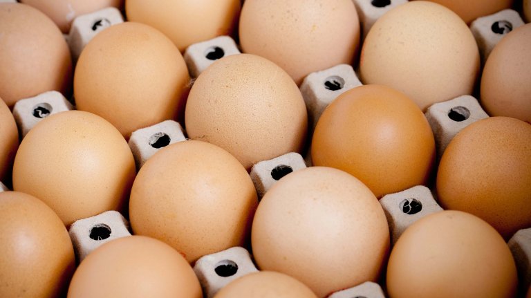 Egg i kartong