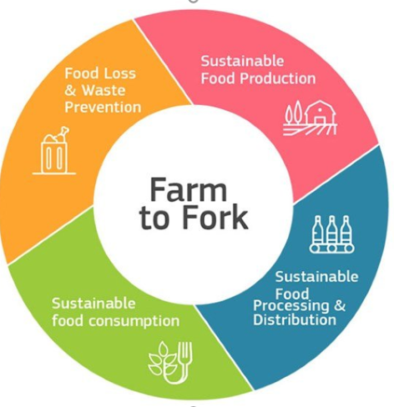 Figur 13: Figuren viser de forskjellige elementene i den europeiske unions «farm to fork»-strategi.